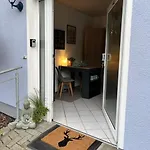 Rheinauszeit *