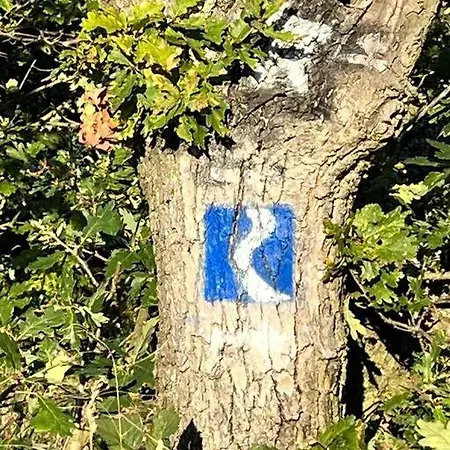 Διαμέρισμα Rheinauszeit Rheinbrohl