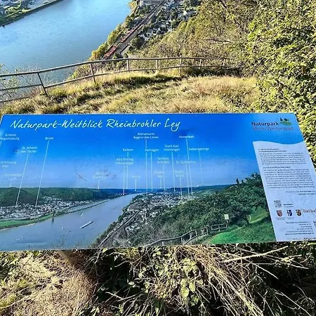Appartement Rheinauszeit *