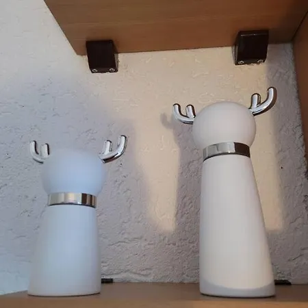 Appartement Rheinauszeit *