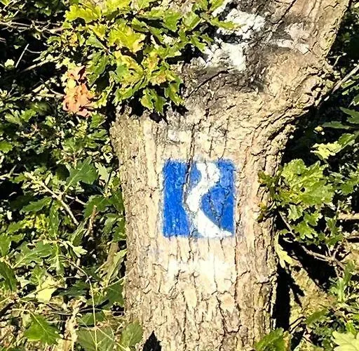 Apartamento Rheinauszeit Rheinbrohl